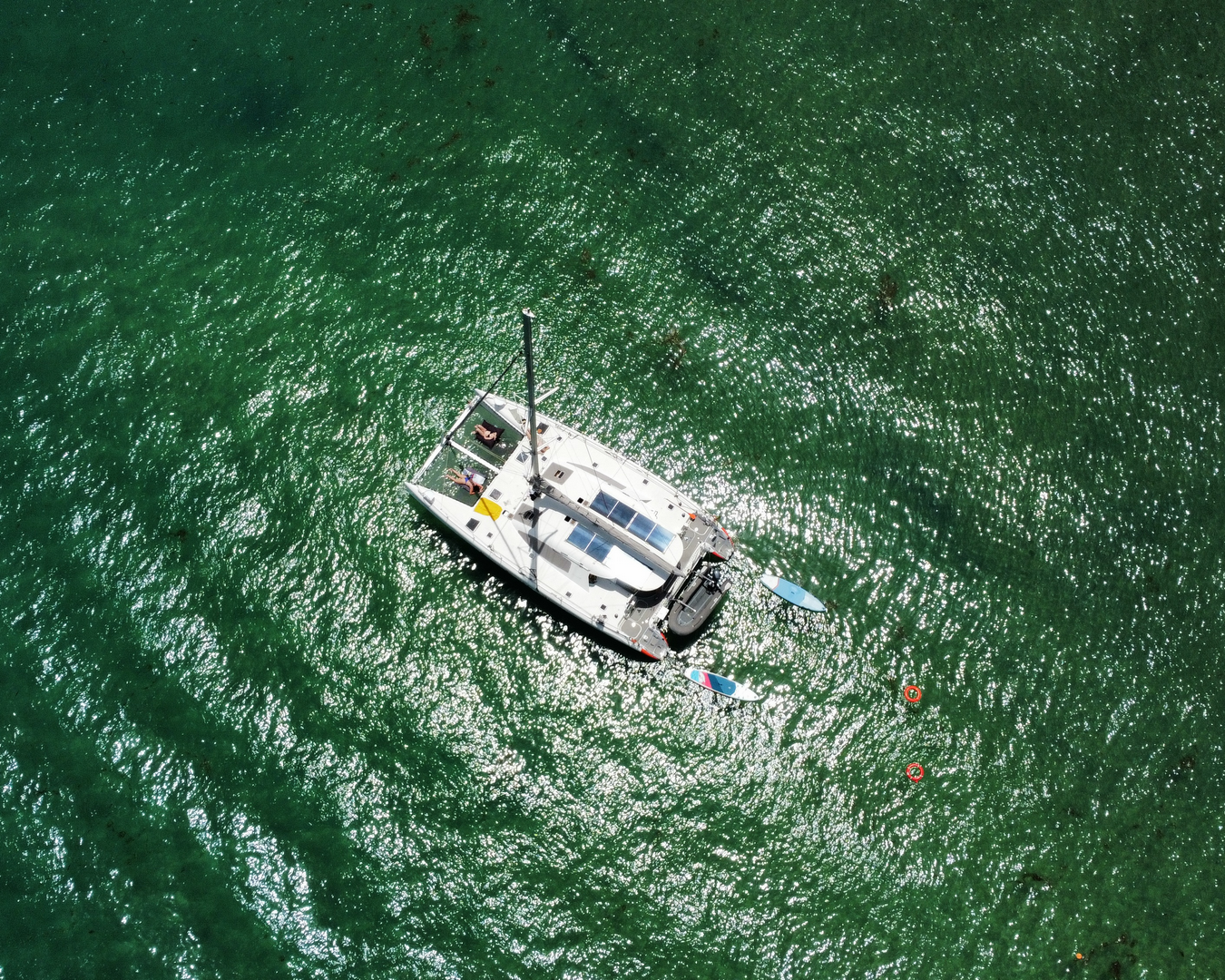 dji_fly_20250530_134618_345_1748609402275_photo_optimized