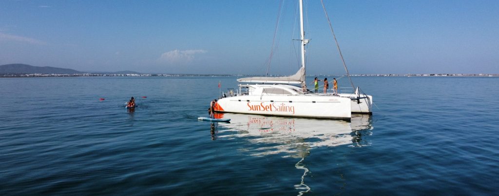 Catamaran sailing on calm water with clear sky and distant shoreline.